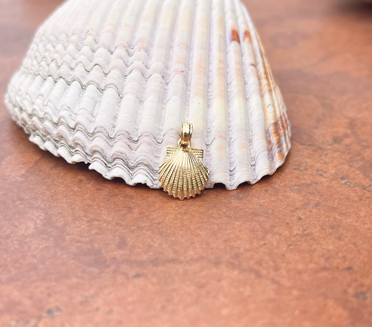 14KT Yellow Gold 2D Scallop Shell Pendant Charm