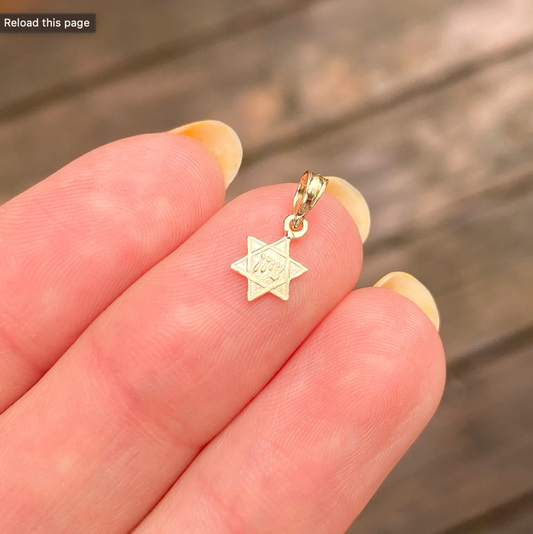 14KT Yellow Gold Mini Zion Star of David Pendant Charm