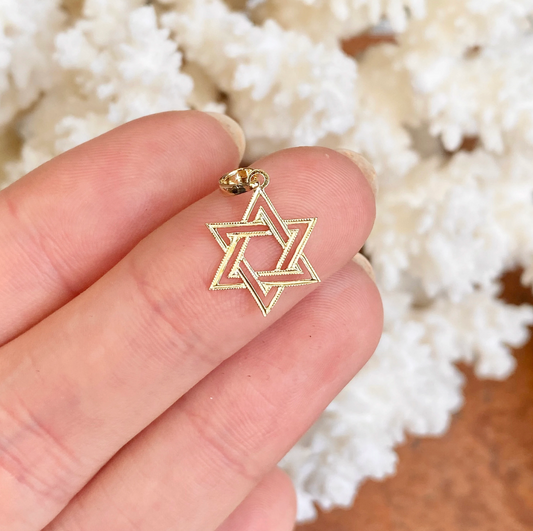 14KT Yellow Gold Flat Star of David Pendant Charm