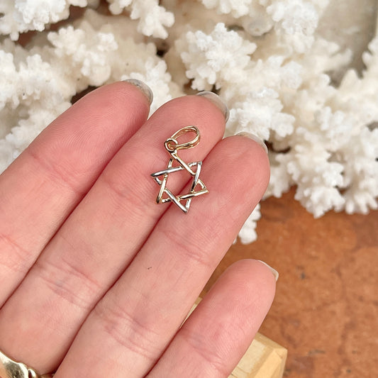 14KT White Gold + Yellow Gold Small Star of David Pendant