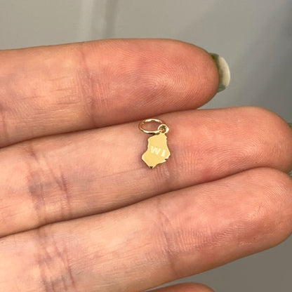 14KT Yellow Gold US State Mini Pendant Charm