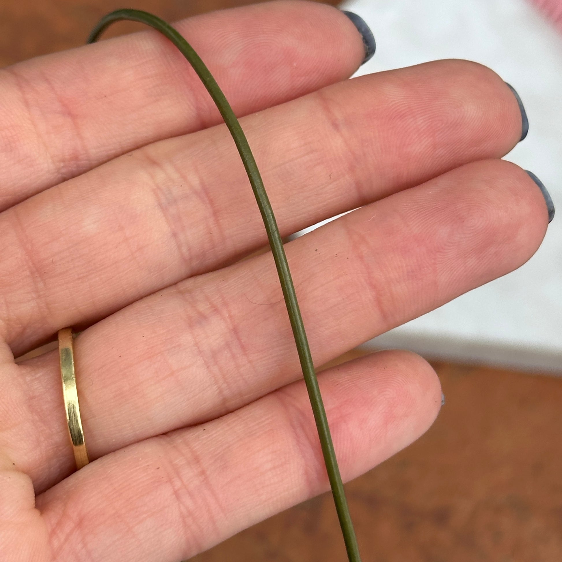 Estate Sterling Silver + 1.5mm Olive Green Leather Necklace 16" - LSJ