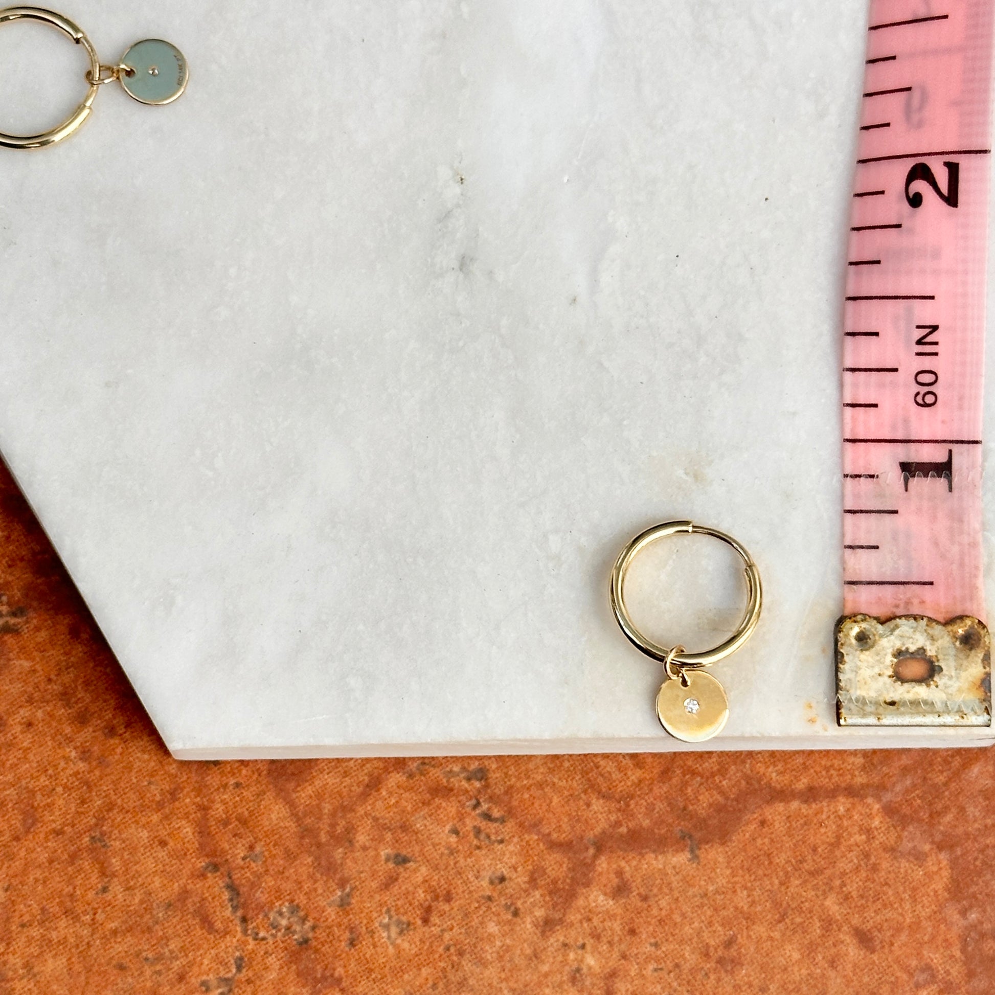 14KT Yellow Gold Small Endless Hoop + Diamond Disc Charms Earrings - LSJ