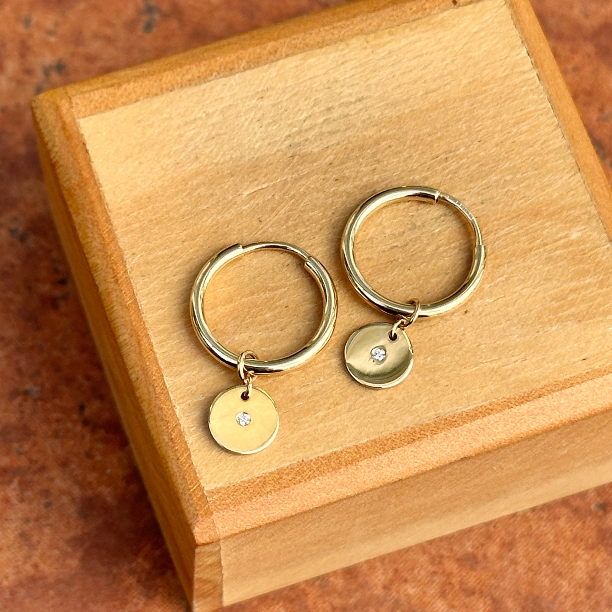 14KT Yellow Gold Small Endless Hoop + Diamond Disc Charms Earrings - LSJ