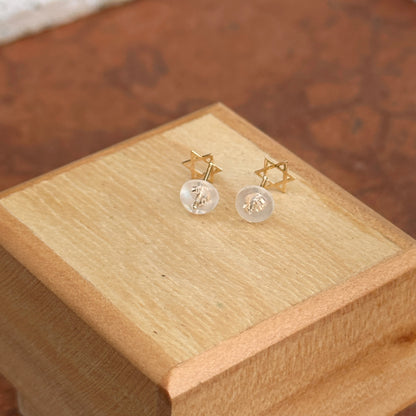 14KT Yellow Gold Mini Star of David Stud Earrings