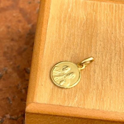 14KT Yellow Gold St. Peter and Paul Matte Medal Pendant Charm 10mm