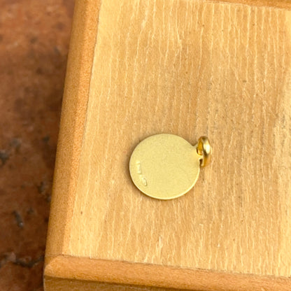 14KT Yellow Gold St. Peter and Paul Matte Medal Pendant Charm 10mm