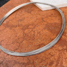 Load image into Gallery viewer, Stainless Steel 20-Strand Collar Necklace