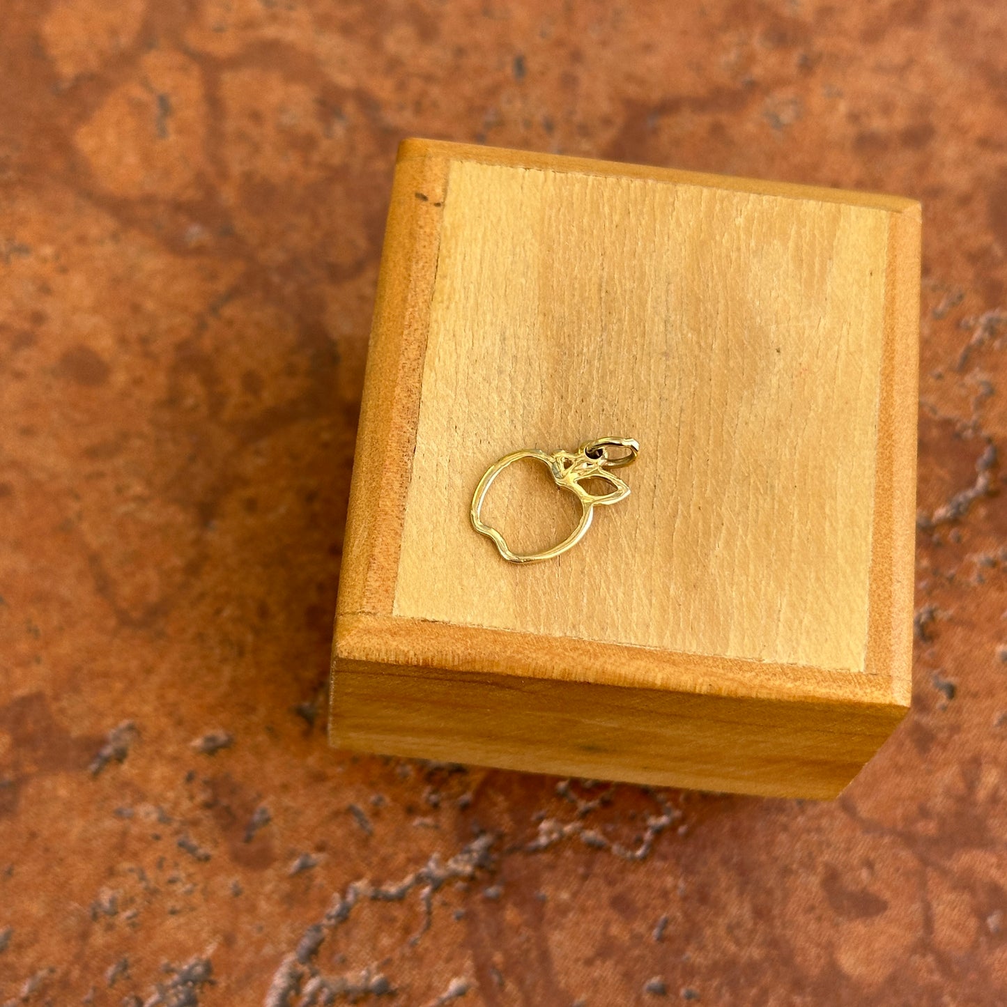 14KT Yellow Gold Apple Outline Charm Pendant