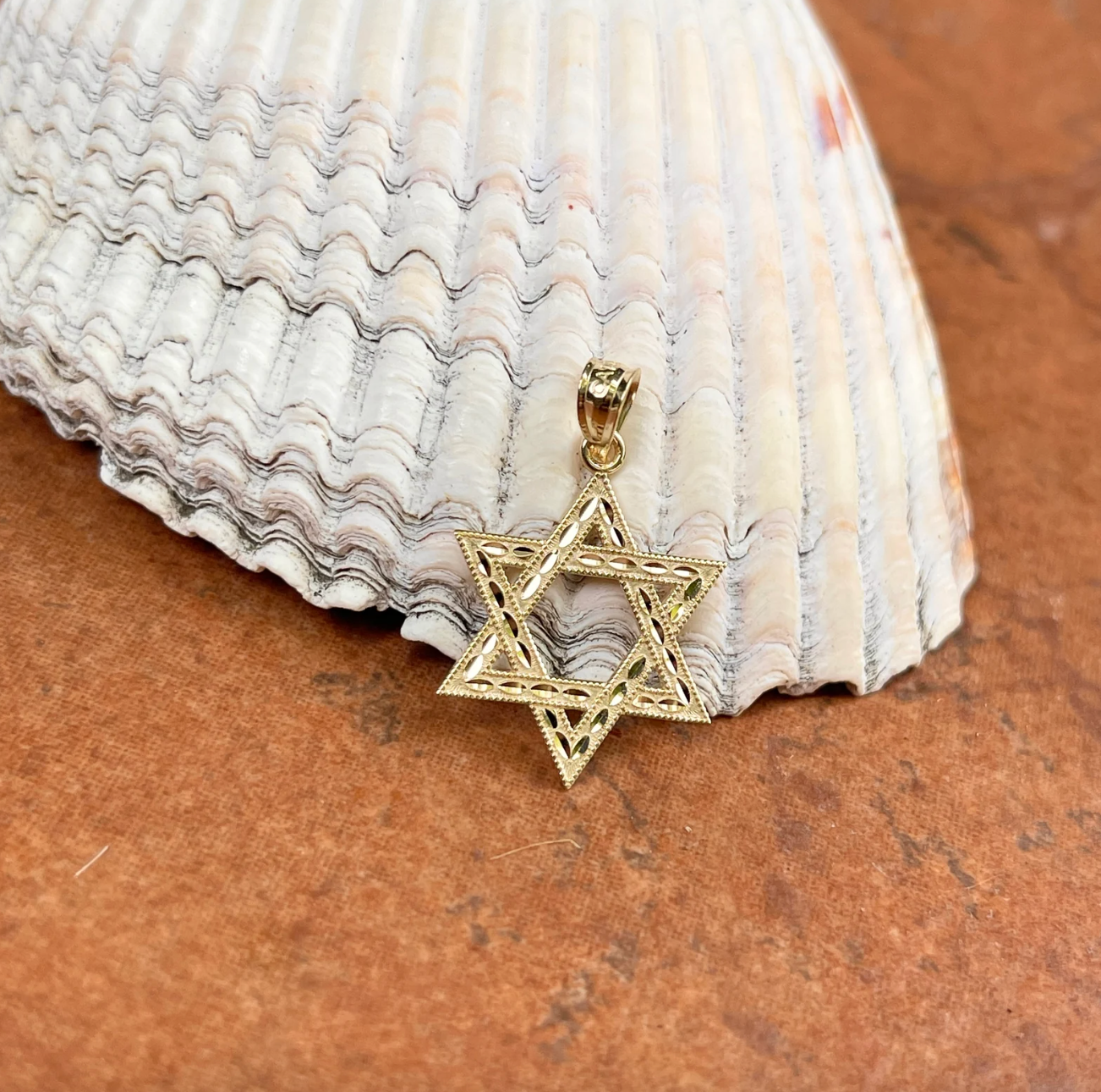 14KT Yellow Gold Diamond-Cut Star of David Pendant Charm