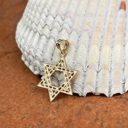 14KT Yellow Gold Diamond-Cut Star of David Pendant Charm