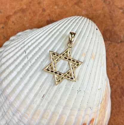 14KT Yellow Gold Diamond-Cut Star of David Pendant Charm