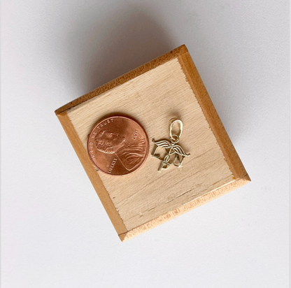 10KT Yellow Gold Licensed Practical Nurse Script Mini Pendant Charm