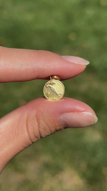 14KT Yellow Gold Italy Matte Round Medal Pendant Charm 10mm