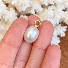 Load image into Gallery viewer, 14KT Yellow Gold Oval Paspaley South Sea Pearl Simple Pendant 12mm