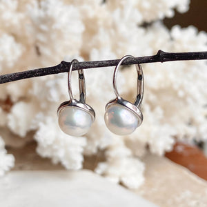 14KT White Gold Freshwater White Pearl Euro Wire Drop Earrings - Legacy Saint Jewelry
