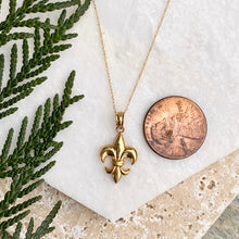 Load image into Gallery viewer, 14KT Yellow Gold Polished Fleur de Lis Necklace, 14KT Yellow Gold Polished Fleur de Lis Necklace - Legacy Saint Jewelry