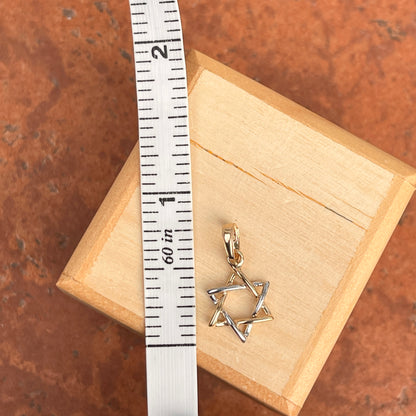 14KT White Gold + Yellow Gold Small Star of David Pendant