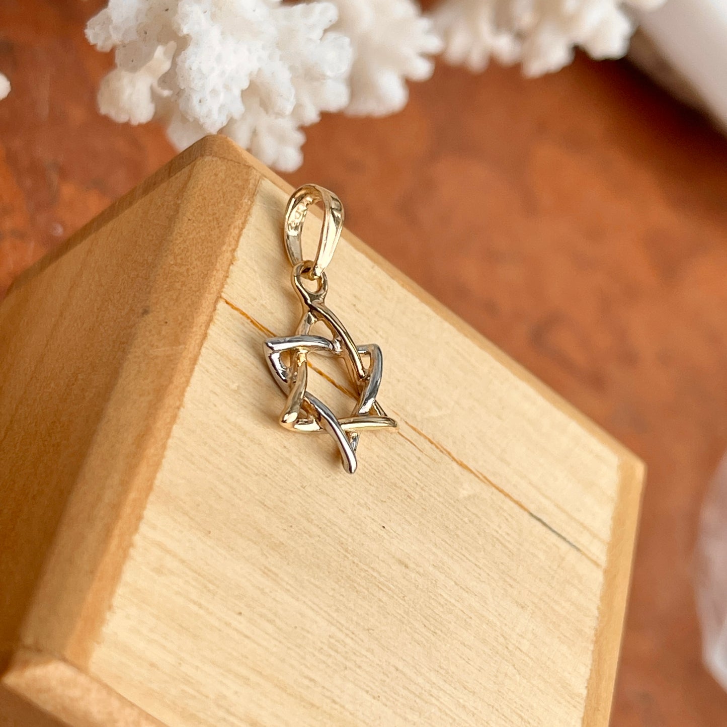 14KT White Gold + Yellow Gold Small Star of David Pendant