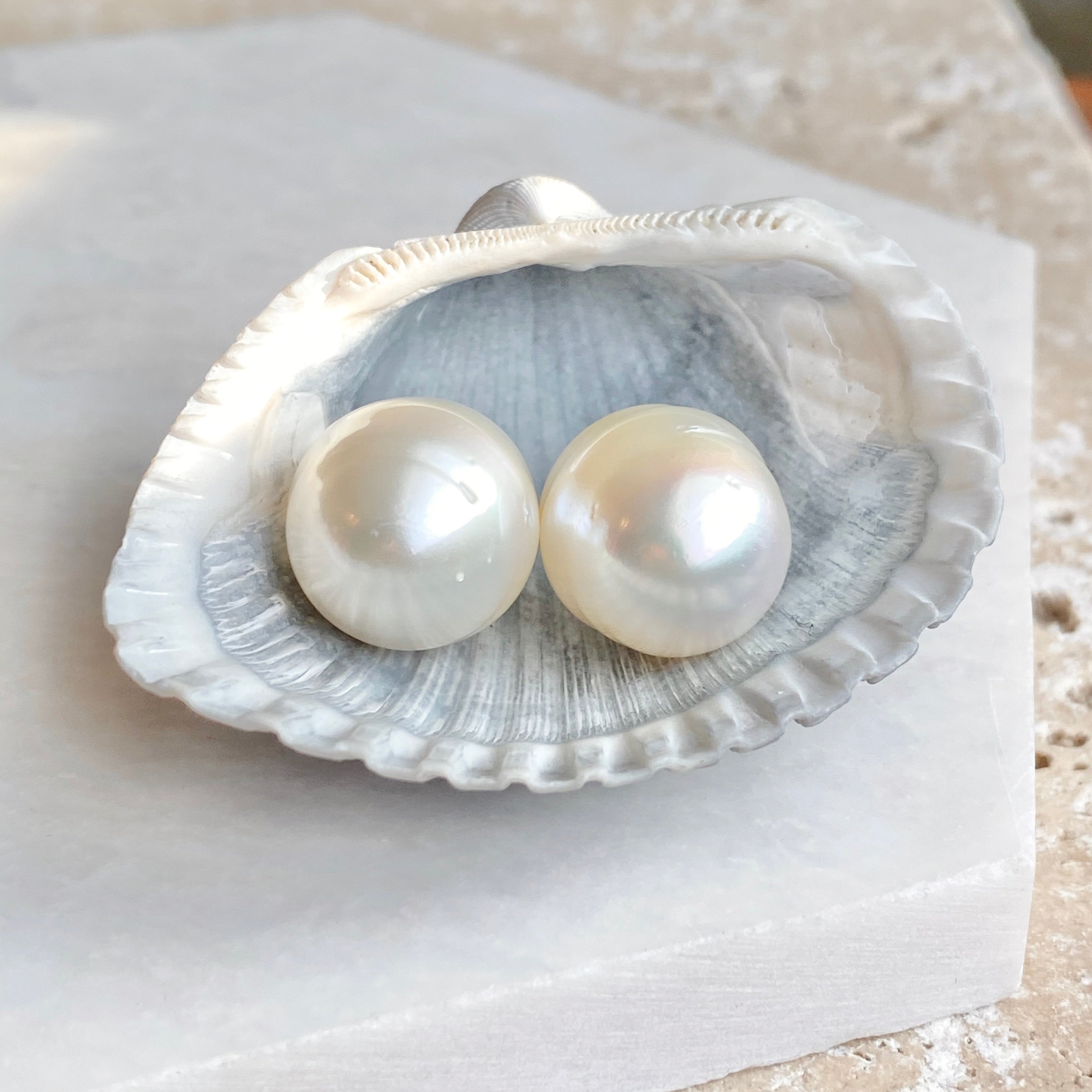 Paspaley pearl discount shell