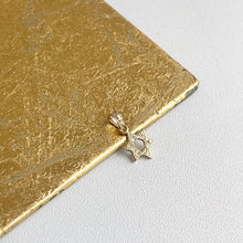 Load image into Gallery viewer, 10KT Yellow Gold Mini Textured Star of David Pendant Charm