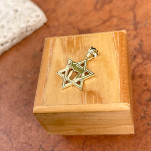 14KT Yellow Gold Jewish Chai Symbol + Star of David Pendant