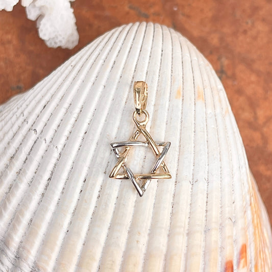 14KT White Gold + Yellow Gold Small Star of David Pendant