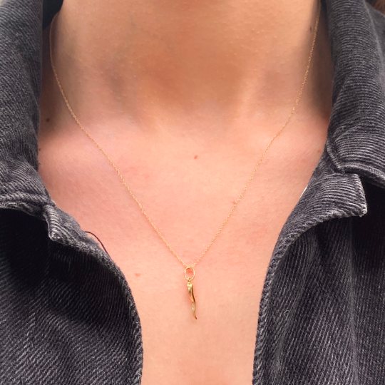 Italian Horn Necklace, Italian Cornicello, Italian Amulet, Pendant, 1 1/2  40mm Long Gold Plated Horn With a 14k Gold Plated Rope Chain - Etsy